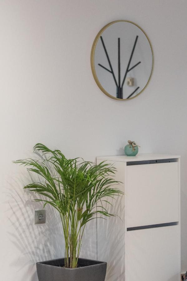 Myrtilo Appartement Ambelokipoi (Zakynthos)